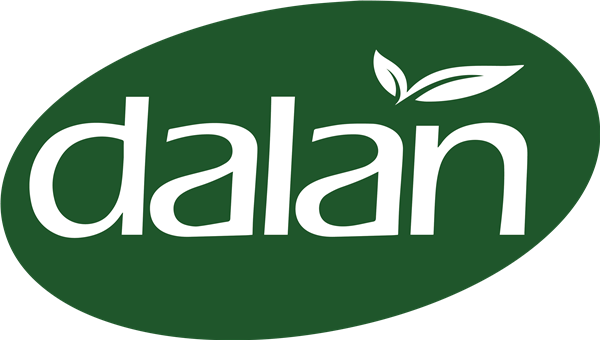 Dalan